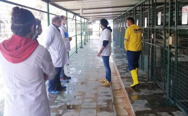 Hayvan Bakım Evleri Denetlendi