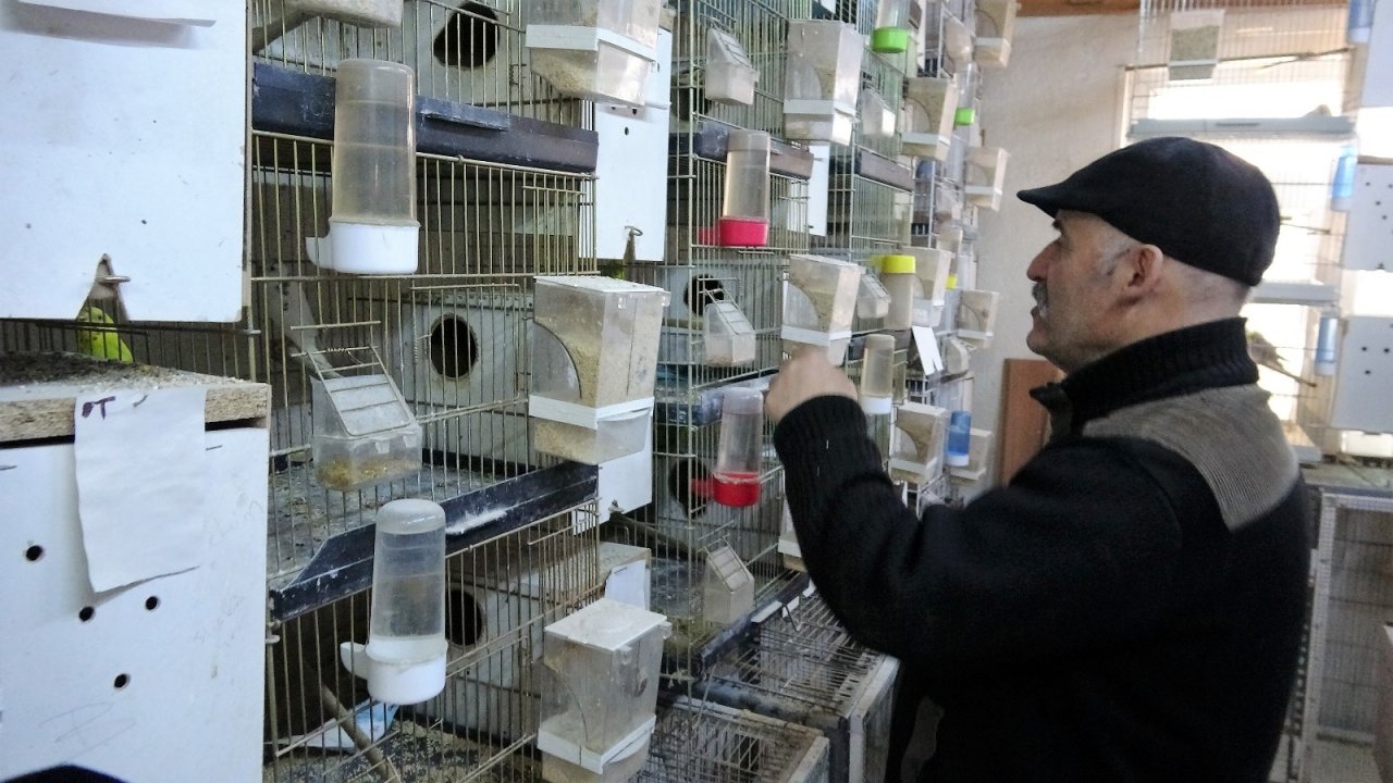 Bir Çiftle Başladı, Evi Sürüyle Doldu