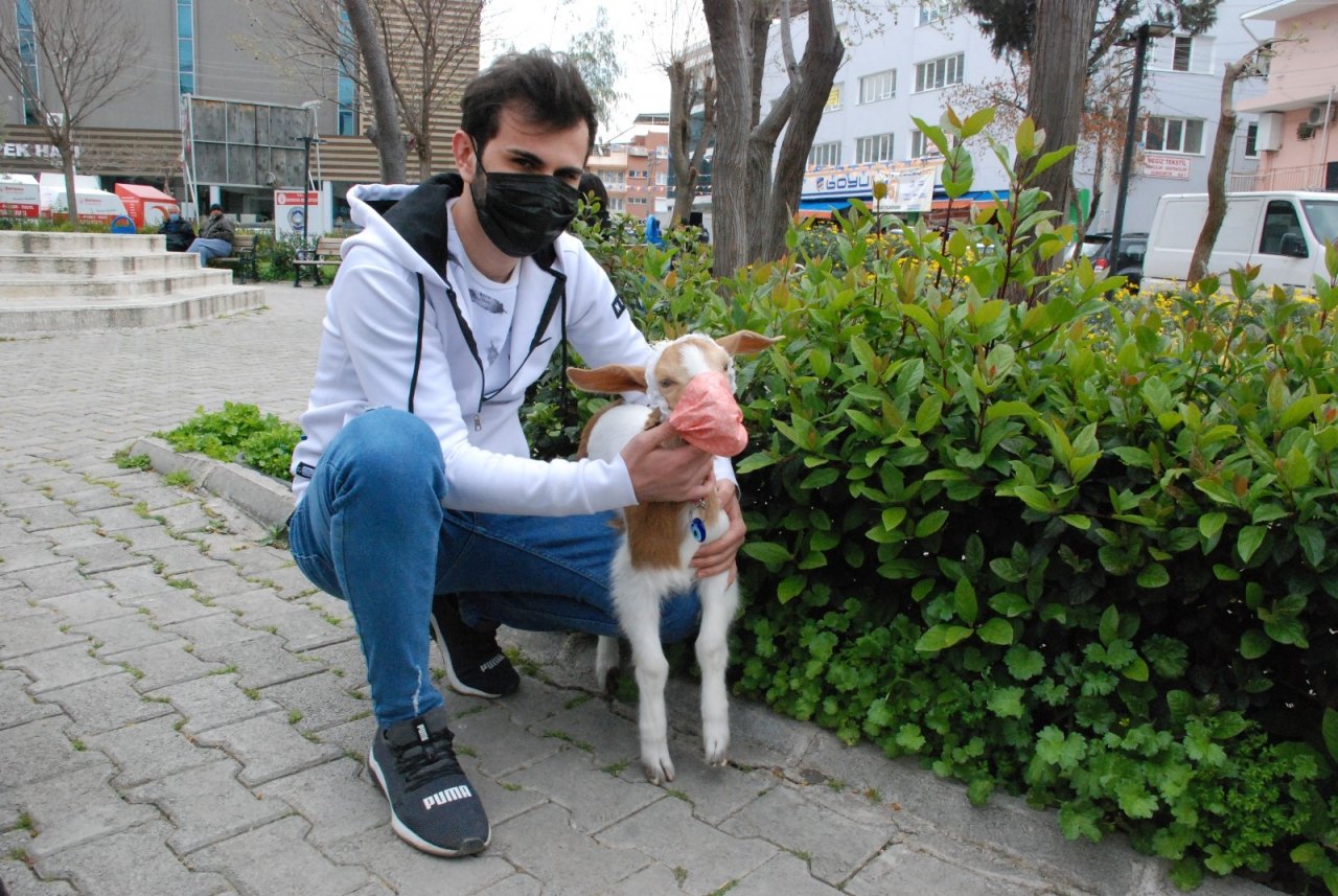 İ̇zmir’in Maskotu Maskeli Keçi