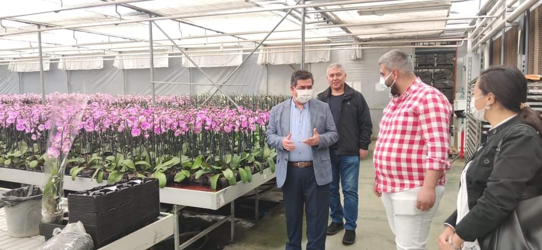 Tarsus’ta 20 Milyon Adet İç Ve Dış Mekan Bitkisi Üretiliyor