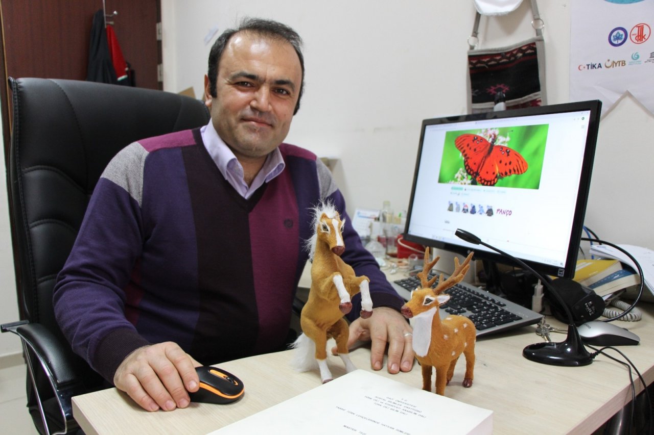 ’eski Türkçe’de Çok İlginç Hayvan İsimleri: Kedi ‘çetük’, Kelebek ‘baybayuk’