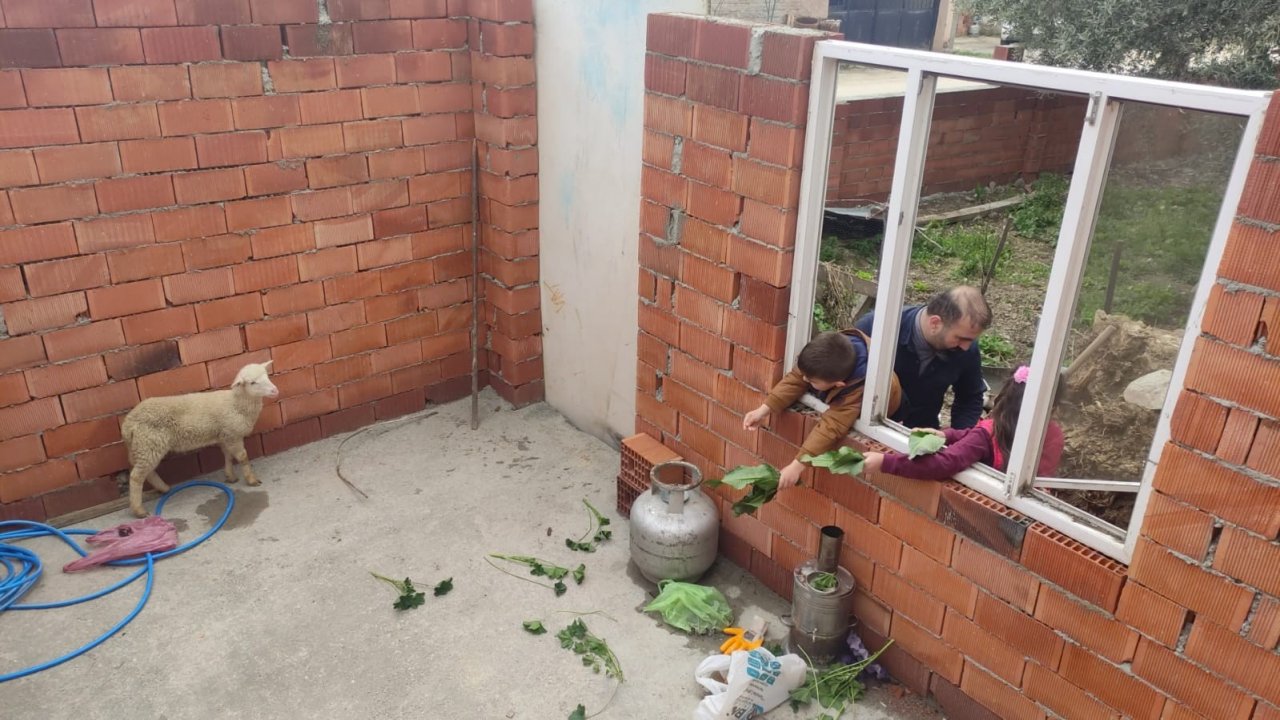 Hayırsever Kardeşlere Kuzu Sürprizi