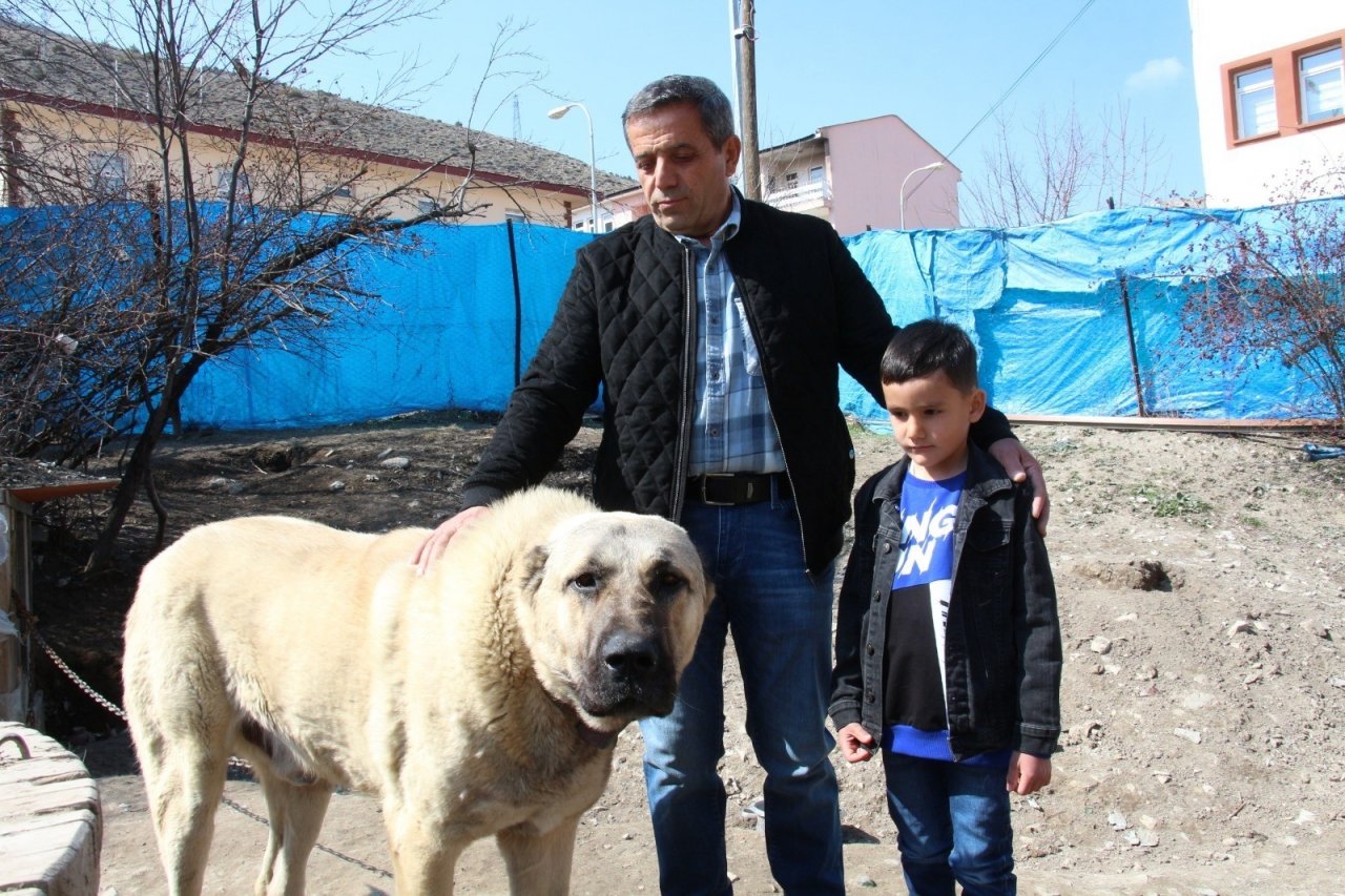 Köpek Dile Geldi; “benim Adım Ejder”