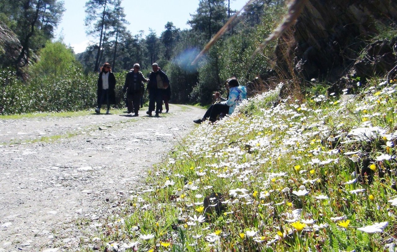 Muğla’nın Akciğerlerine Ziyaretçi Akını