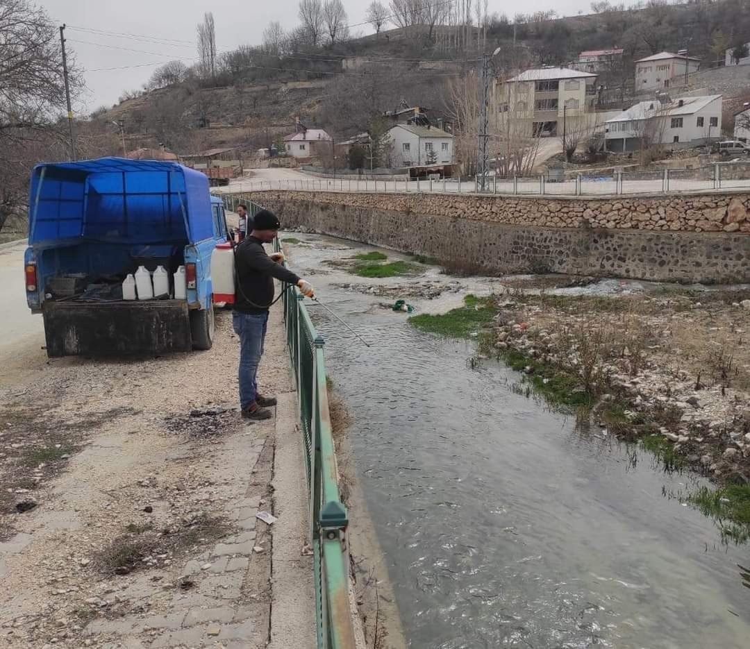 Gürün’de Larvalara Karşı İlaçlamalar Başladı