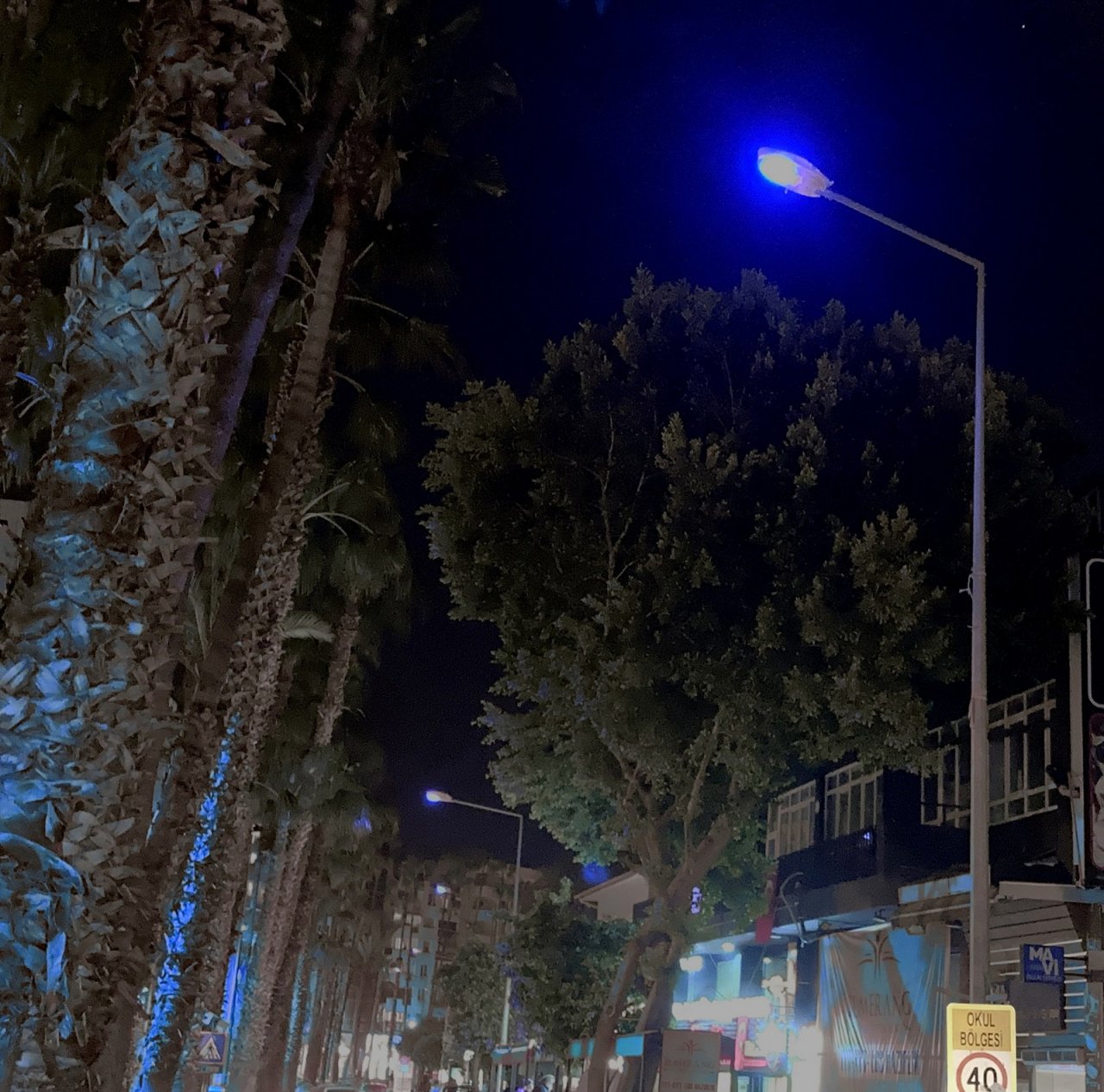 ’otizme Mavi Işık Yak’ Kampanyasına Aedaş’tan Destek