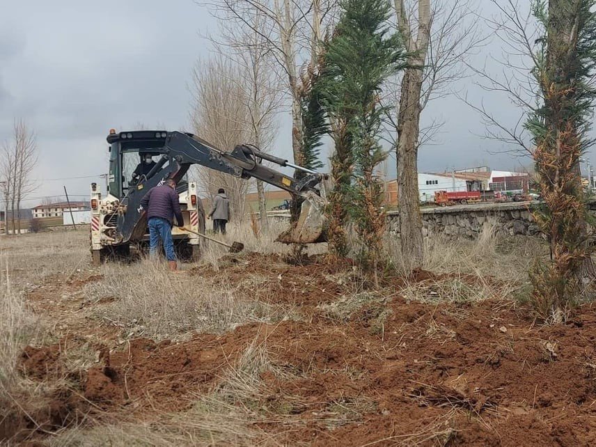 Mezarlıkta Ağaçlandırma Ve Bakım Çalışmaları