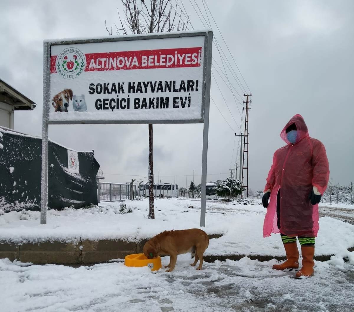 Başkan Oral: "sokaktaki Dostlarımız Emin Ellerde"