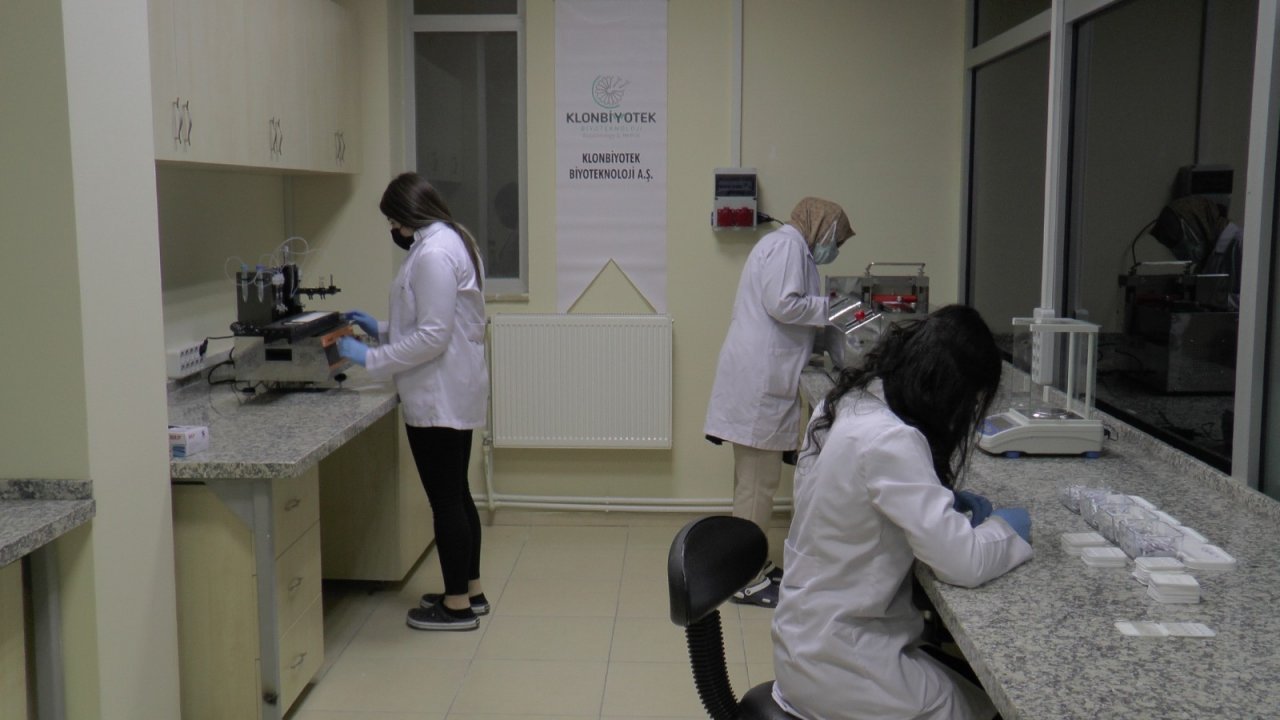 Buzağı İshali Teşhisinde Kullanılacak ‘erken Tanı Kiti’nin Seri Üretimi Başlıyor