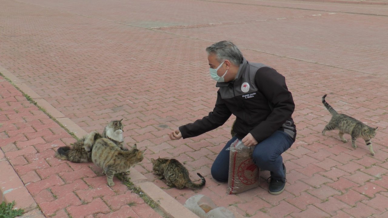İ̇l Tarım Ve Orman Müdürlüğü ‘dünya Sokak Hayvanları Günü’nde Sokak Hayvanlarına Mama Dağıttı
