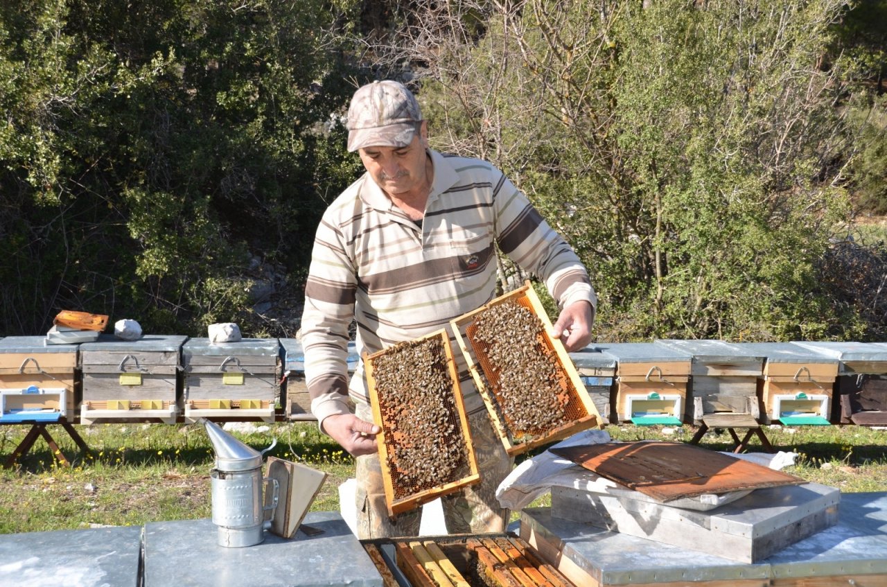 Antalya’da Arıcılar Yeni Sezona Hazırlanıyor