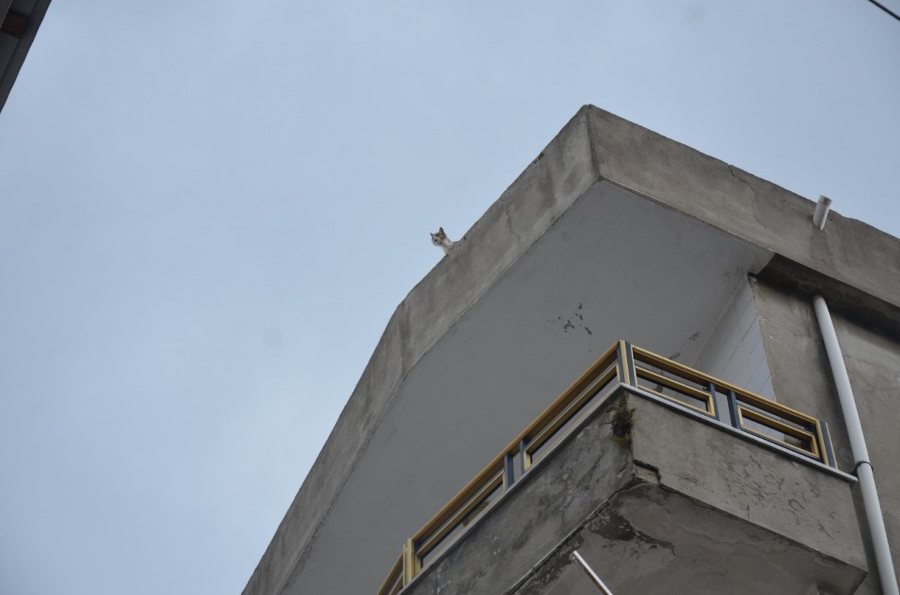 İ̇tfaiyeden 1 Saatte 2 Kedi Operasyonu
