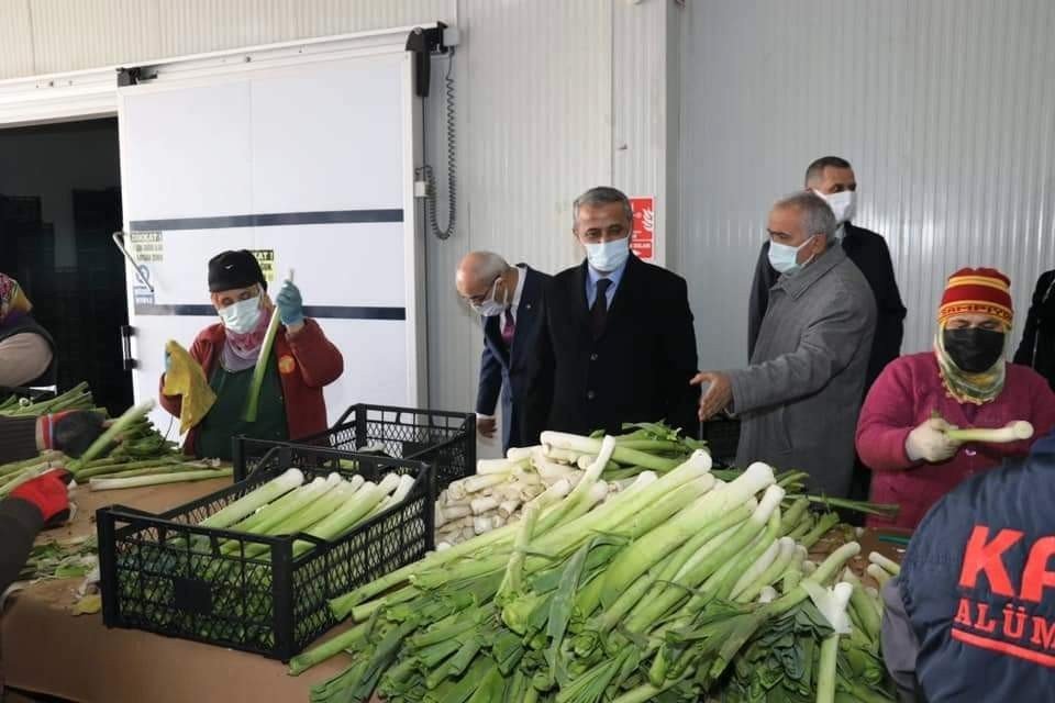 Samsun’da Yetişen Sebzelere Yurt Dışından Yoğun Talep