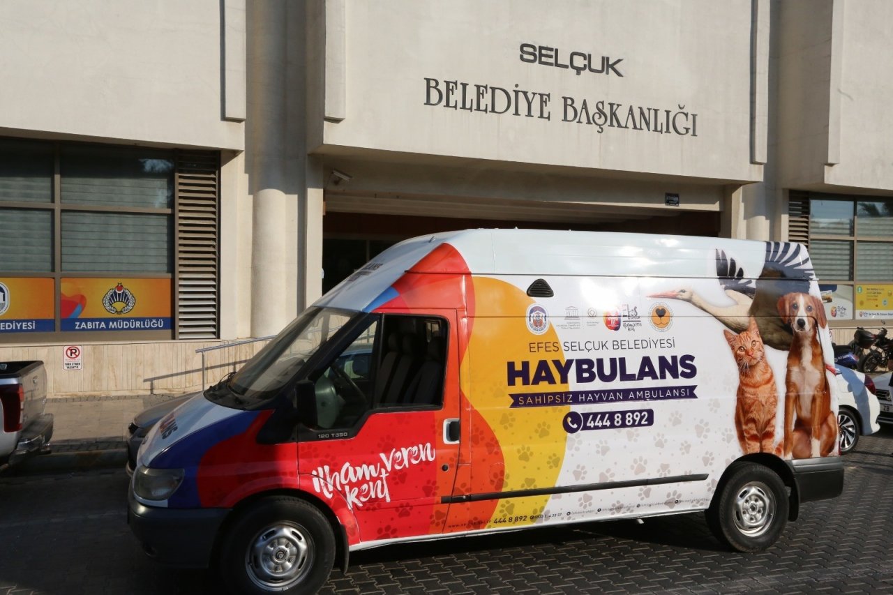 Selçuk Belediyesi Pandemide Sokak Hayvanları Yalnız Bırakmadı