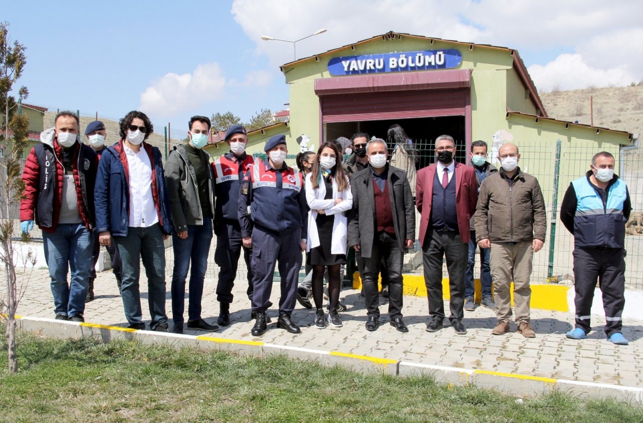 Van’da ‘sokak Hayvanları Koruma Günü’ Etkinliği