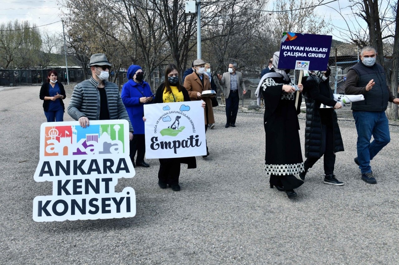 Başkentli Hayvanseverler Sokak Hayvanları İçin Bir Araya Geldi