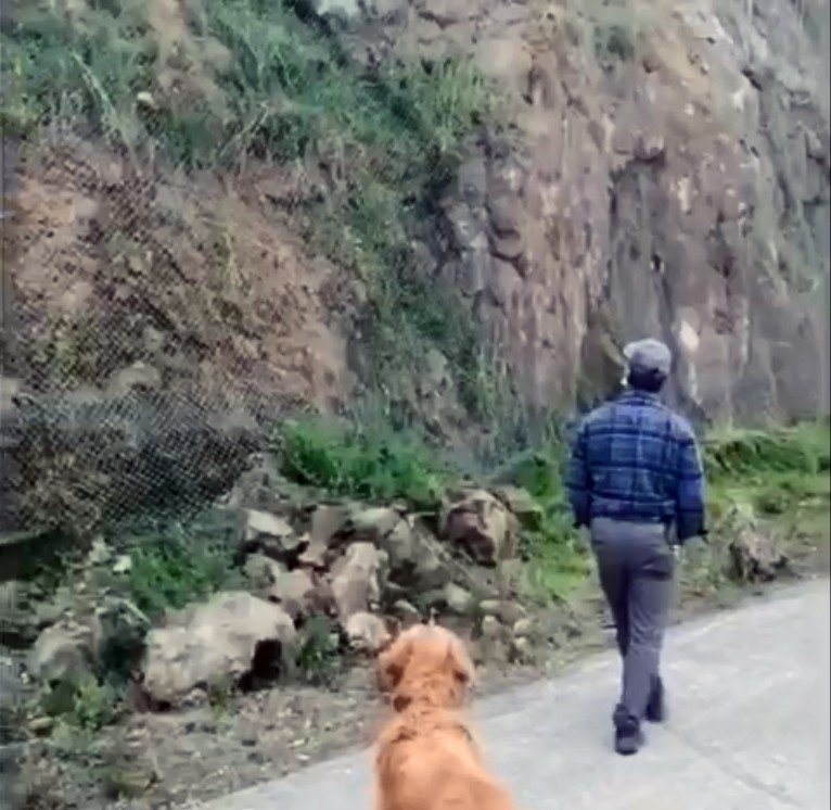 Tel Örgülerin Arkasında Sıkışan Kargayı Gören Köpek Haber Verdi, İtfaiye Kurtardı