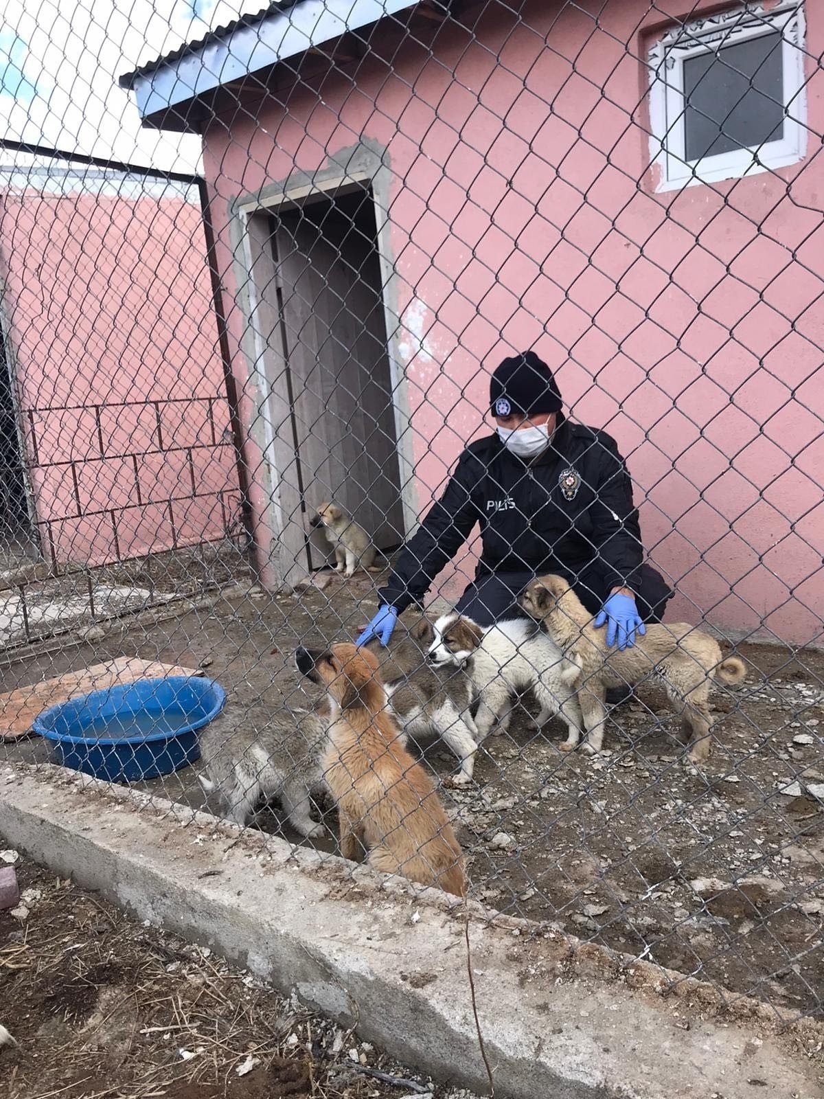 Polisler, 4 Nisan Dünya Sokak Hayvanları Günü’nü Unutmadı