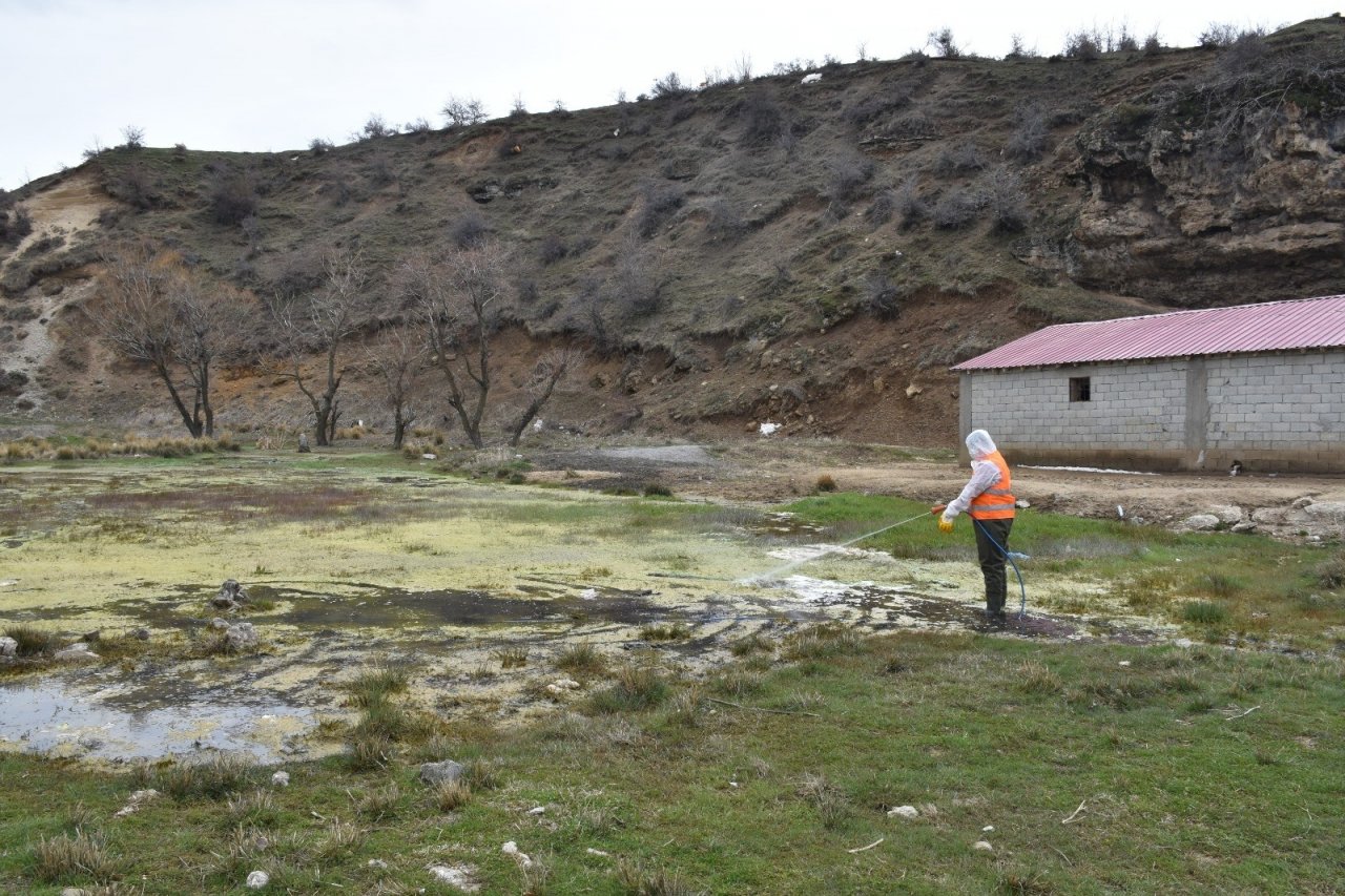 Tatvan’daki Park Ve Yeşil Alanlarda Lavra İlaçlama Çalışması