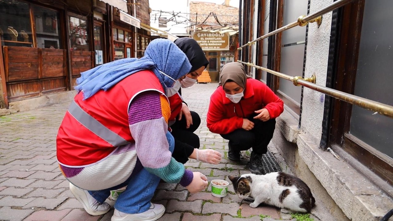 Safranbolu’dan Genç Kızılay Faaliyete Başladı