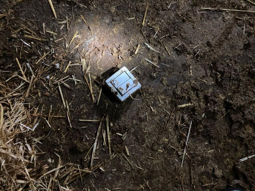 Elektrik Kablosunu Kemiren 7 Büyükbaş Hayvan Telef Oldu