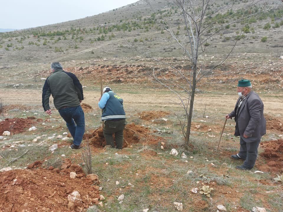 Altıntaş’ta ’’bal Ormanı’’ Çalışmaları