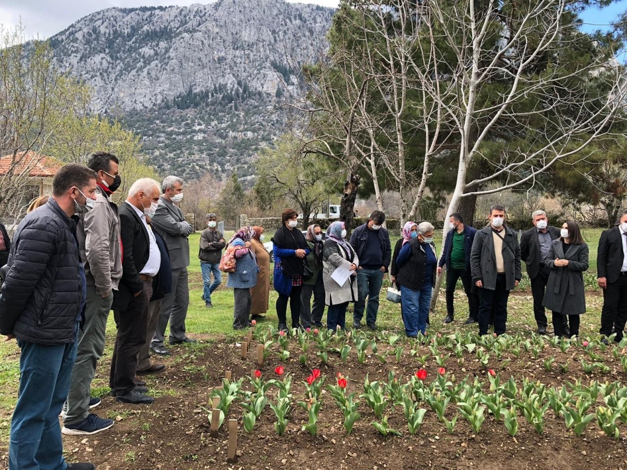 İ̇bradı Lale Üretim Merkezi Haline Gelecek