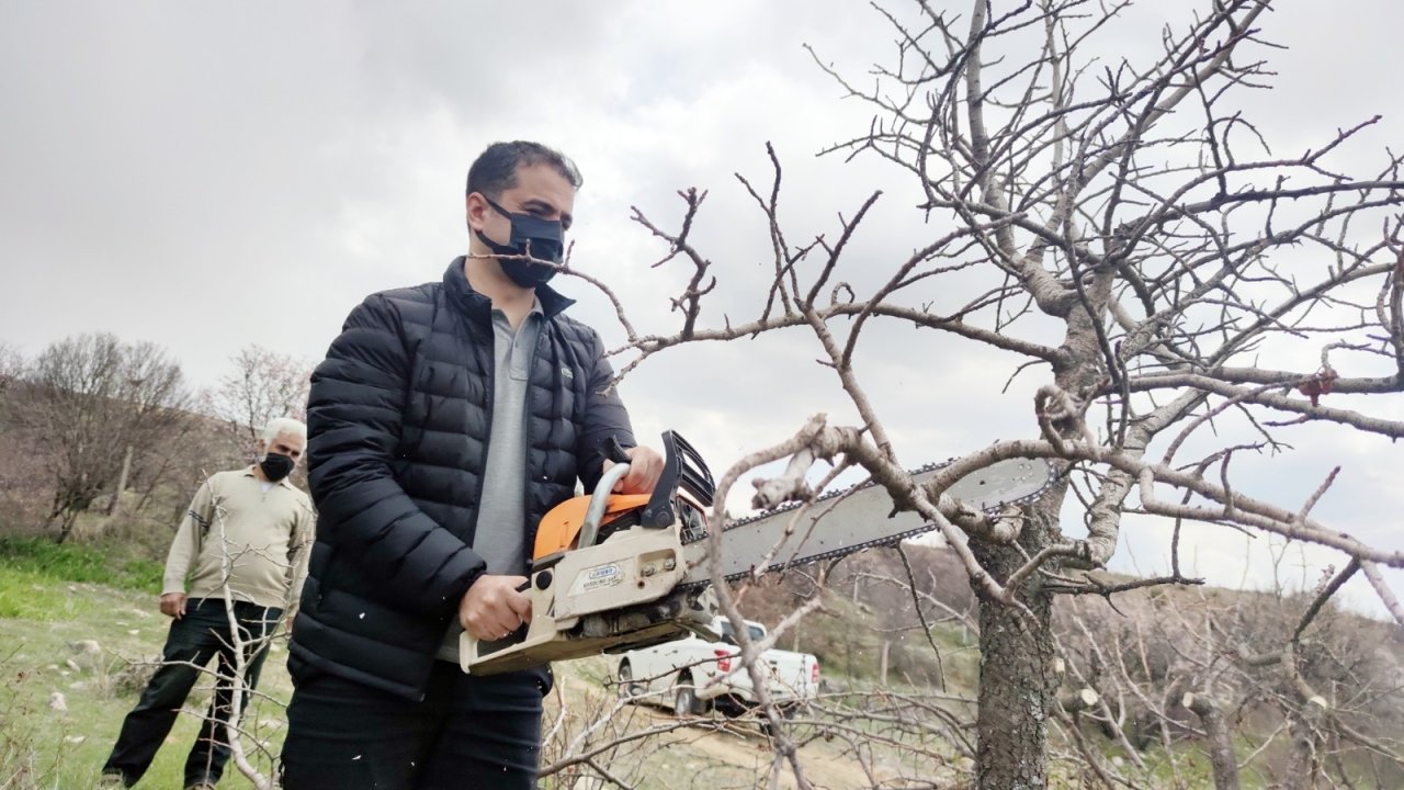 İ̇lçeye Katma Değer, 24 Bin Yabani Menengiç Ağacında Antep Fıstığı Yetişecek