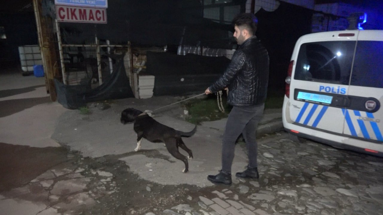’karlos’un Yakaladığı, Esnafın Dövdüğü Taciz Şüphelisi Tutuklandı