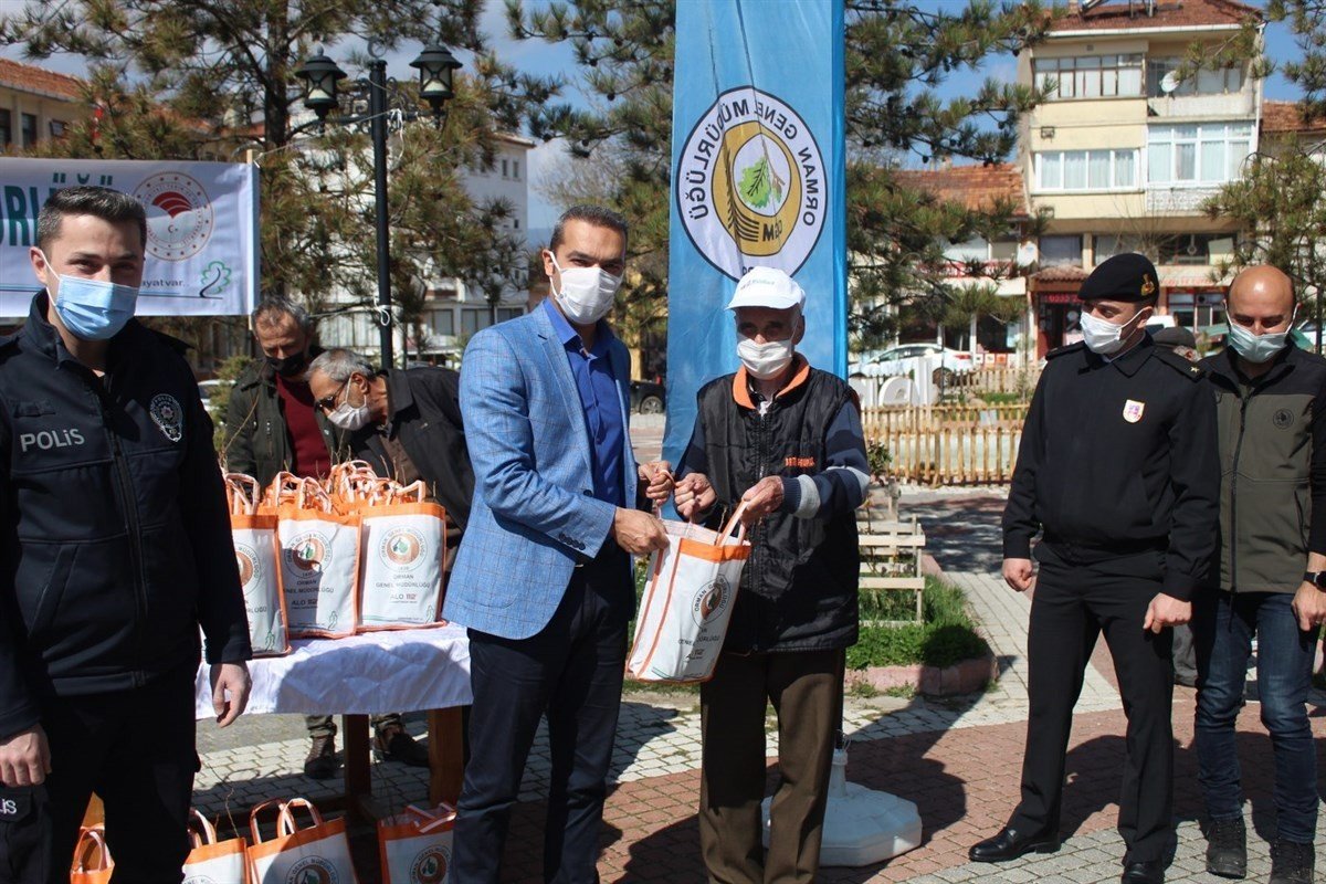 Ücretsiz 3 Bin Fidan Dağıtıldı