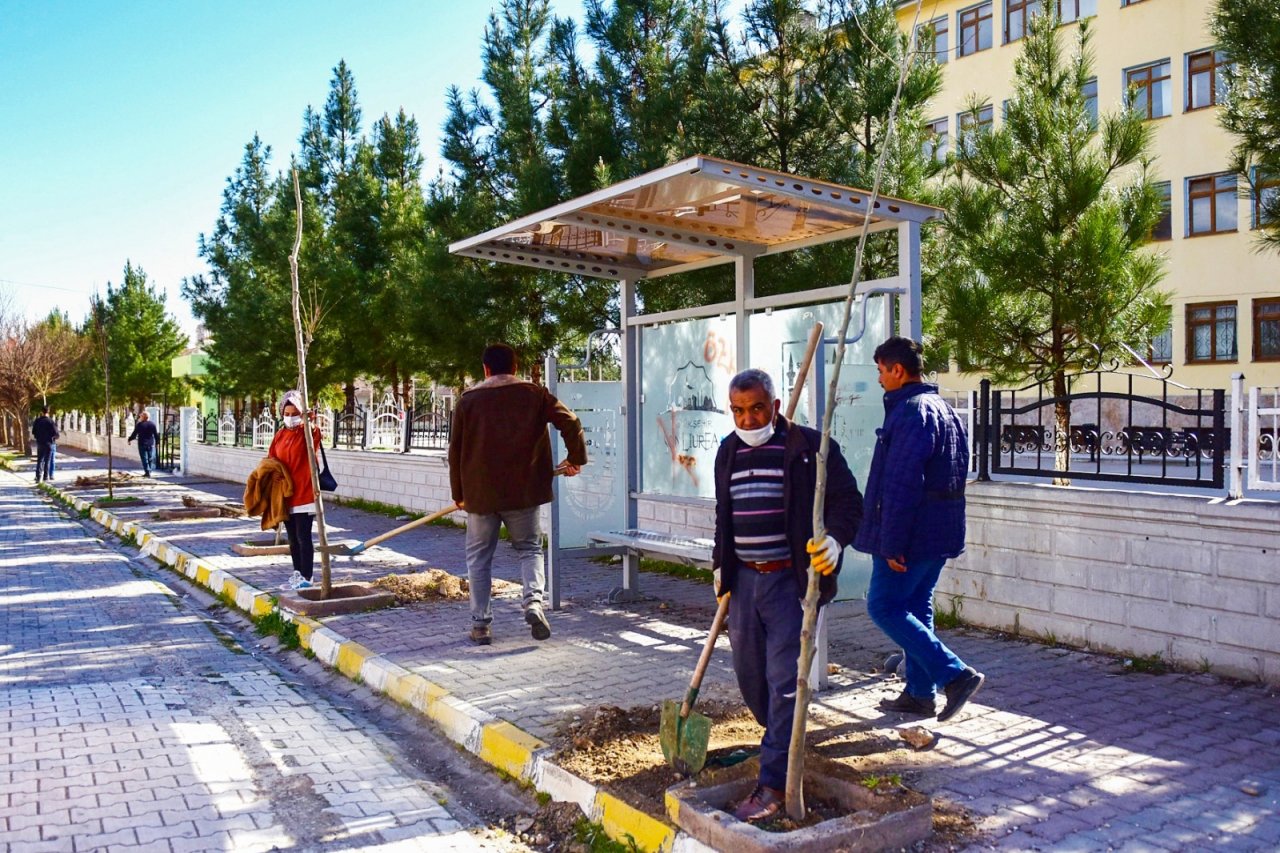 Ceylanpınar’da Yeşil Seferberlik