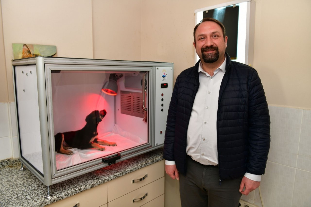 Çiğli Belediyesinden Hayvan Dostu Proje: Yoğun Bakım Ünitesi