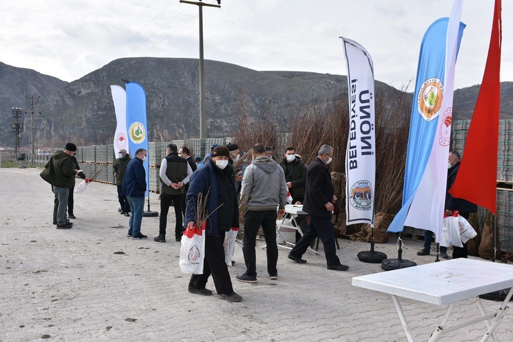 İ̇nönü’de Ücretsiz Dağıtılan Fidanlar Nefes Olacak
