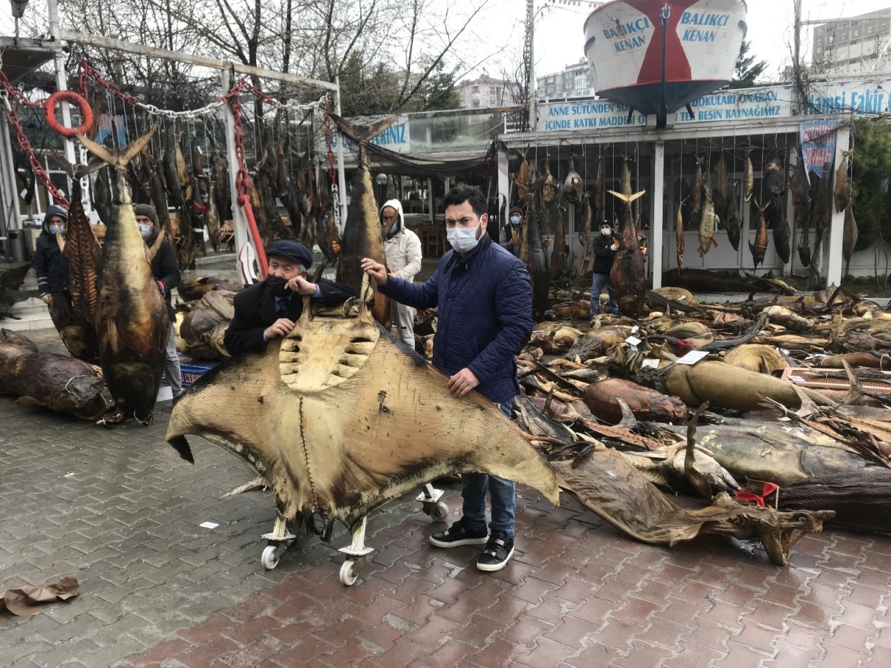 Chp’li Belediyenin Yıkım Kararı Aldığı Balık Müzesinin Kurucusu Kenan Balcı, Cumhurbaşkanı Erdoğan’a Seslendi