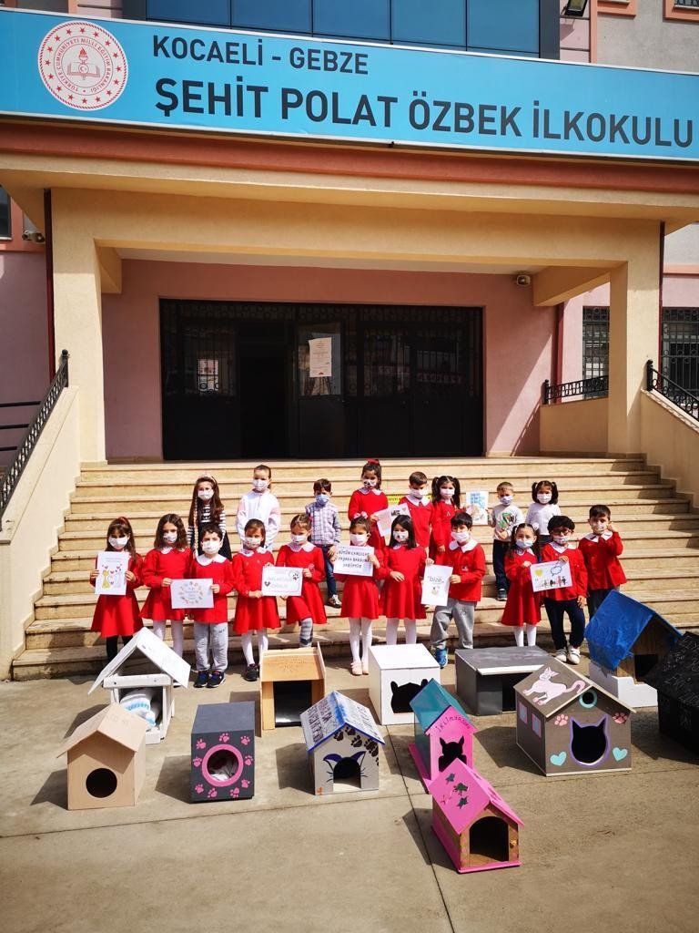 Minik Kalpleriyle Sokaktaki Dostlarına Yuva Yaptılar