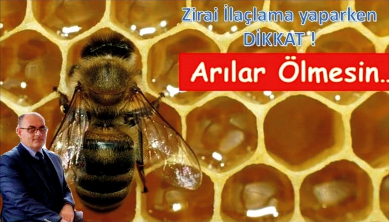 İ̇laçlamaya "arı" Ayarı