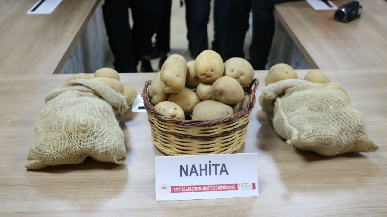 Niğde’de Geliştirilen Yerli Patates Tohumu Avrupa Yolunda