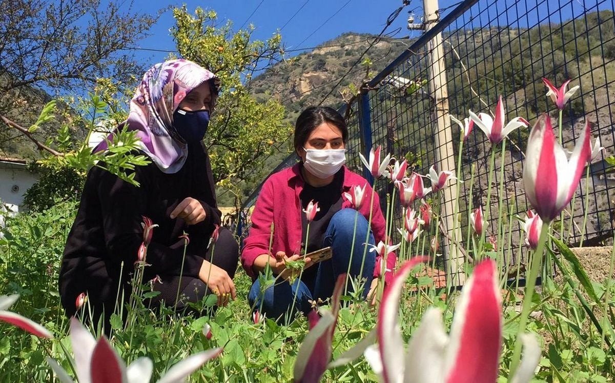 Osmanlı’nın Kayıp Lalesi Koruma Altına Alınacak