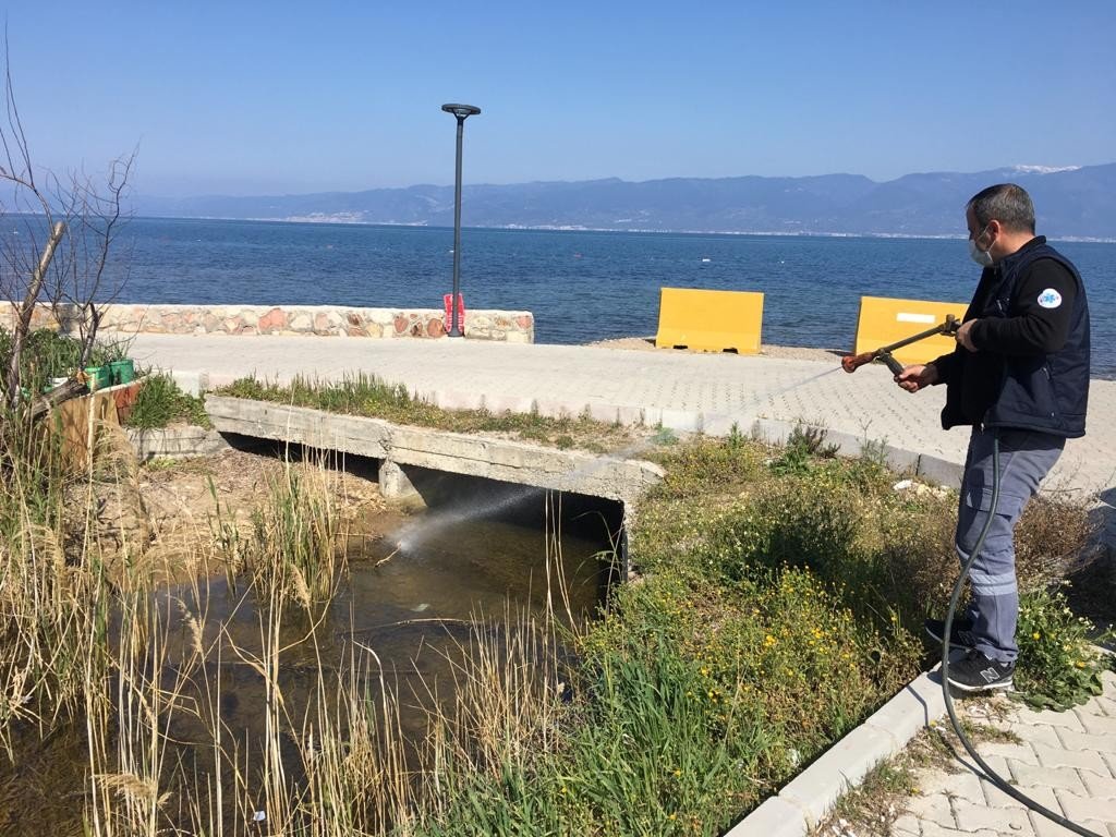 Burhaniye’de 365 Gün Haşere Mücadelesi