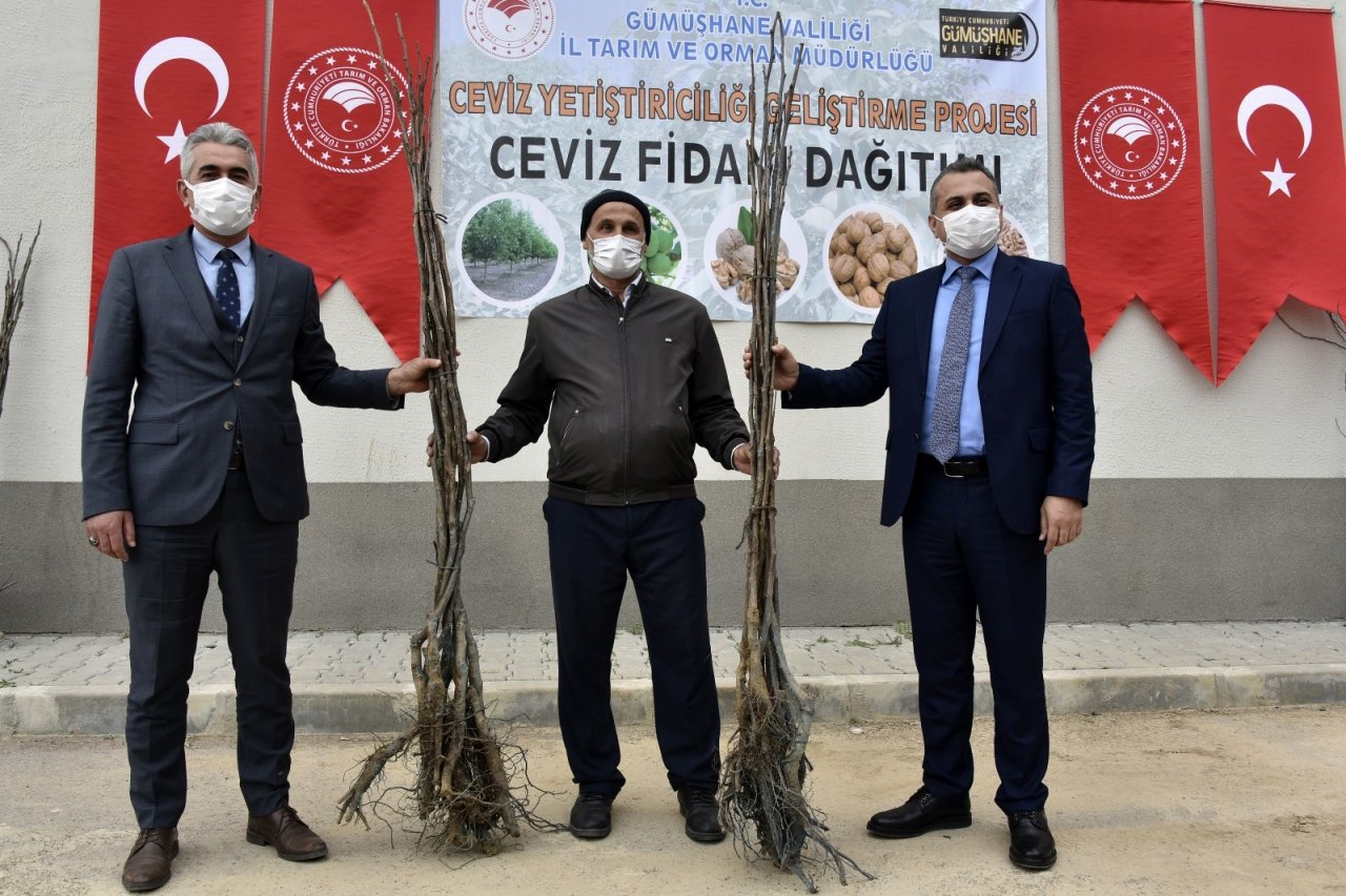 Gümüşhane’de Üreticilere 5 Bin 600 Ceviz Fidanı Dağıtıldı