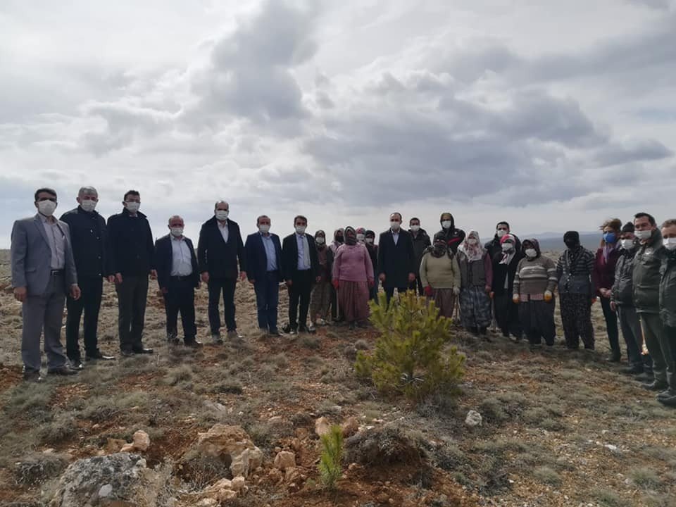 6 Bin 150 Adet Fidan Toprakla Buluştu