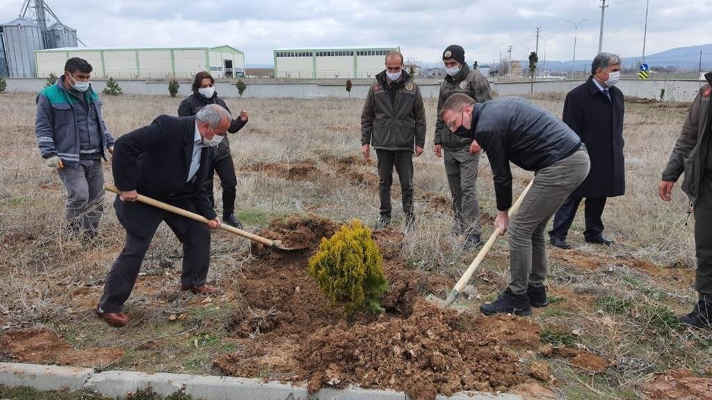 Okul Bahçeleri Dikilen Fidanlarla Güzelleşiyor