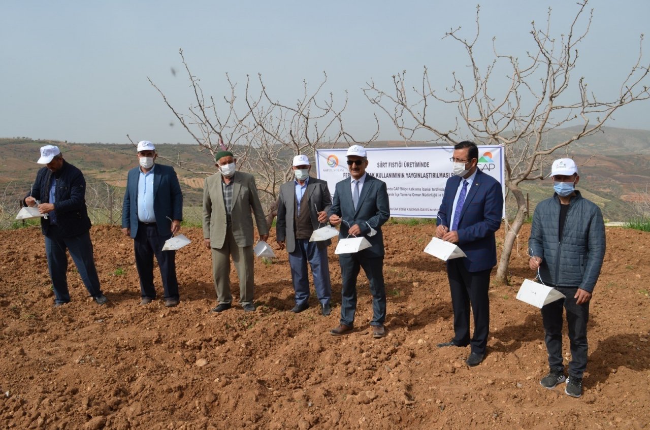 Siirt’te Fıstık Bahçelerine 2 Bin 295 Feromon Tuzağı Kuruldu