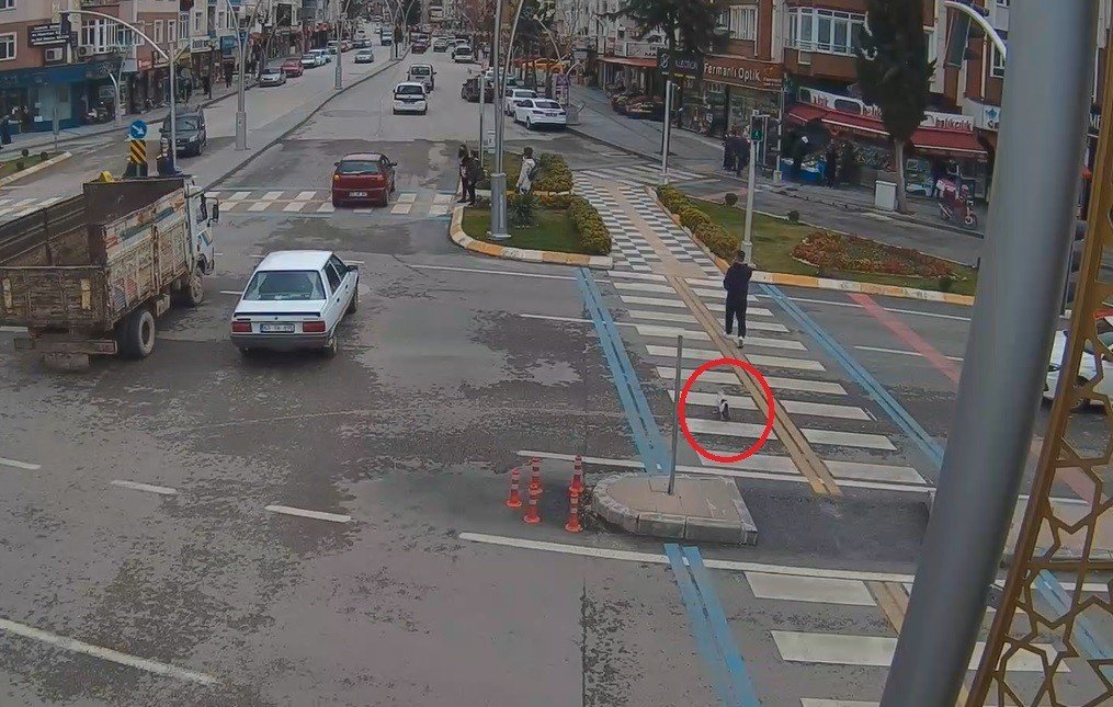 Yaya Geçidini Kullanan Kedi Mobese Kameralarına Yansıdı