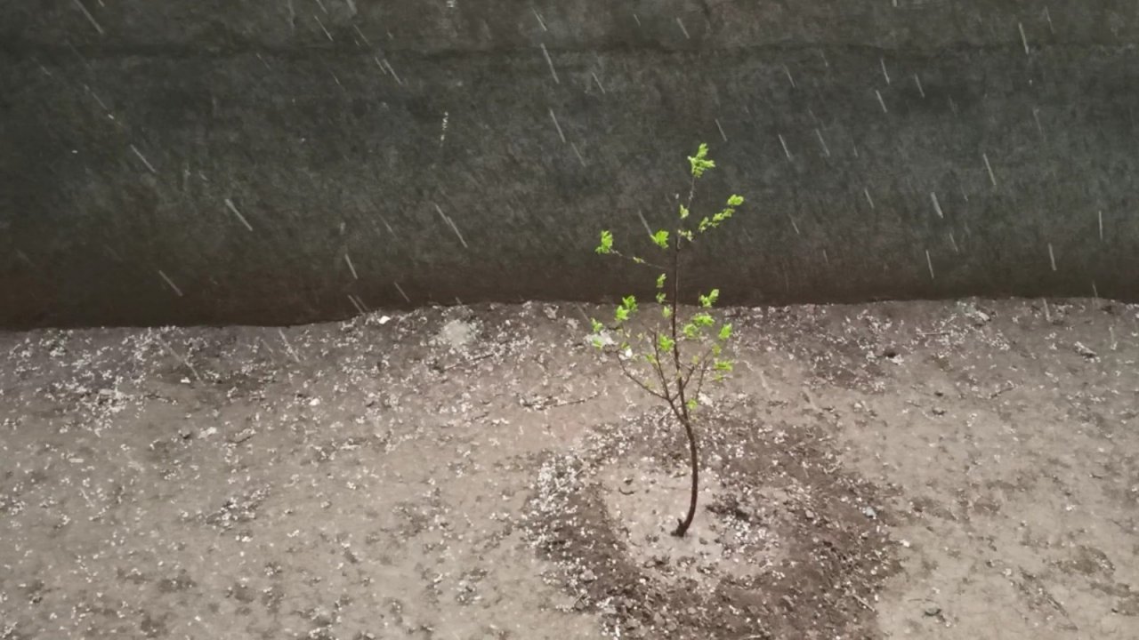 Iğdır’da Kuvvetli Fırtına Sonrası Dolu Korkuttu