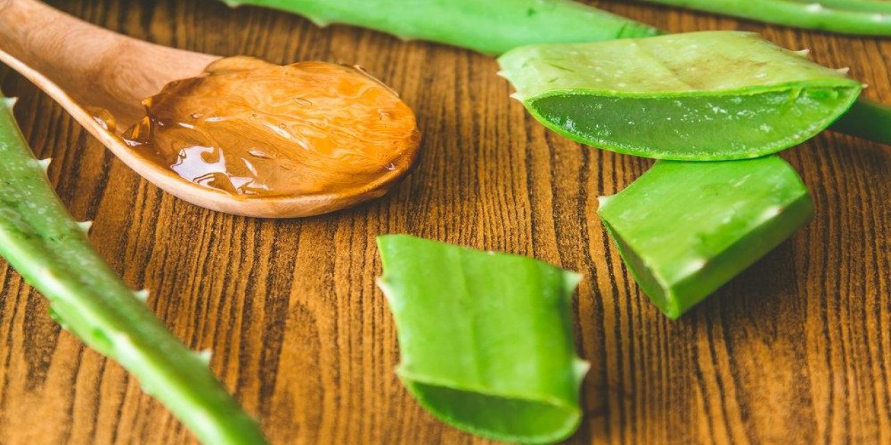 aloe-vera.jpg