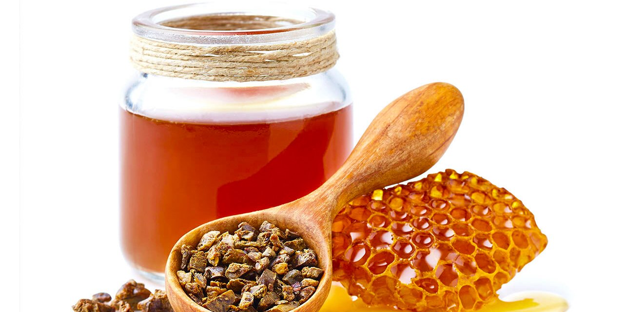 propolis.jpg