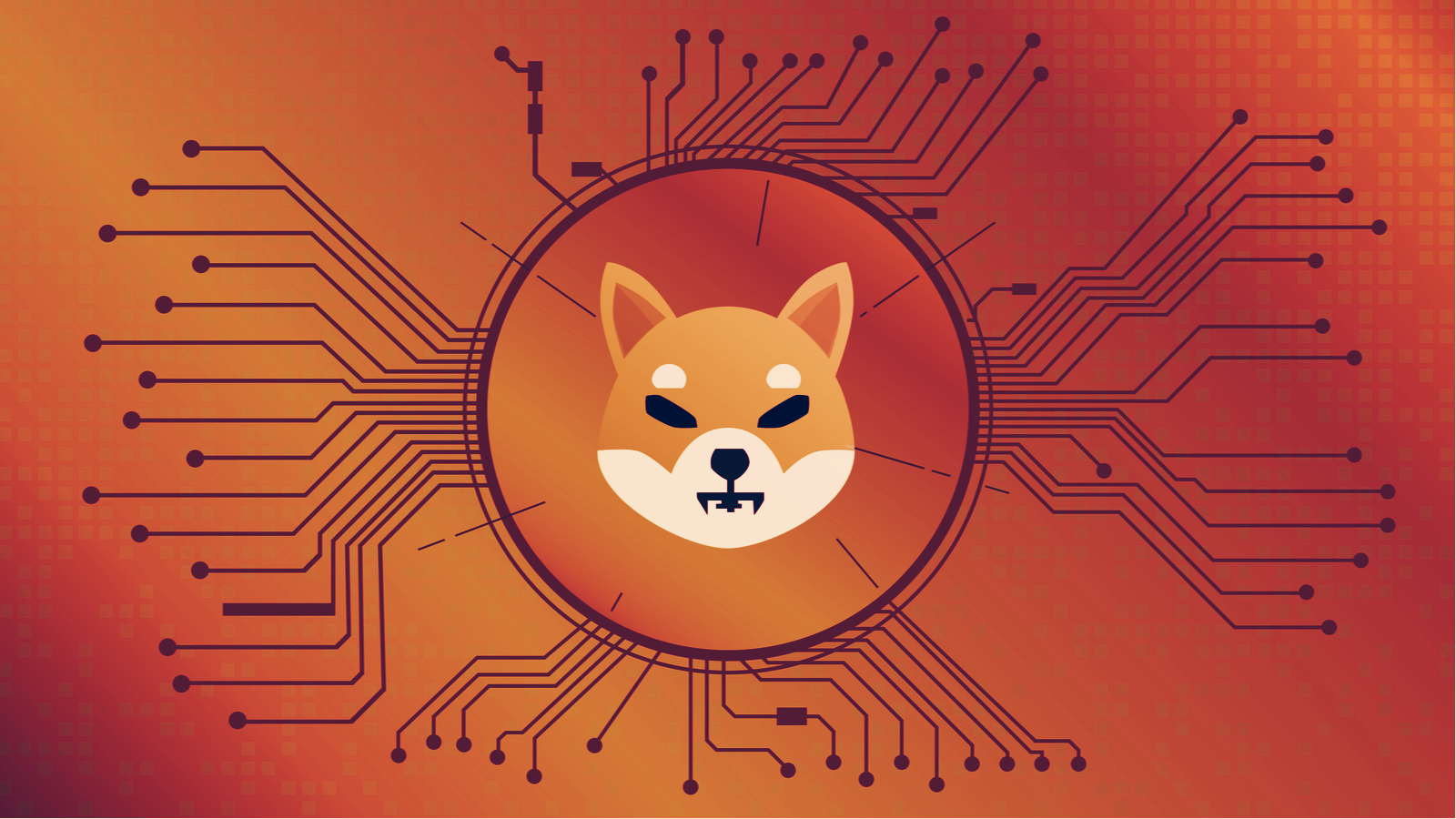 shiba-coin.png