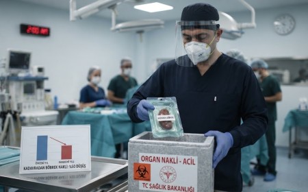 Kadavradan böbrek nakli pandemide yarı yarıya azaldı