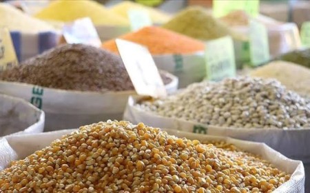 Türkiye'den 9 ayda 6,4 milyar dolarlık hububat ve bakliyat ihraç edildi
